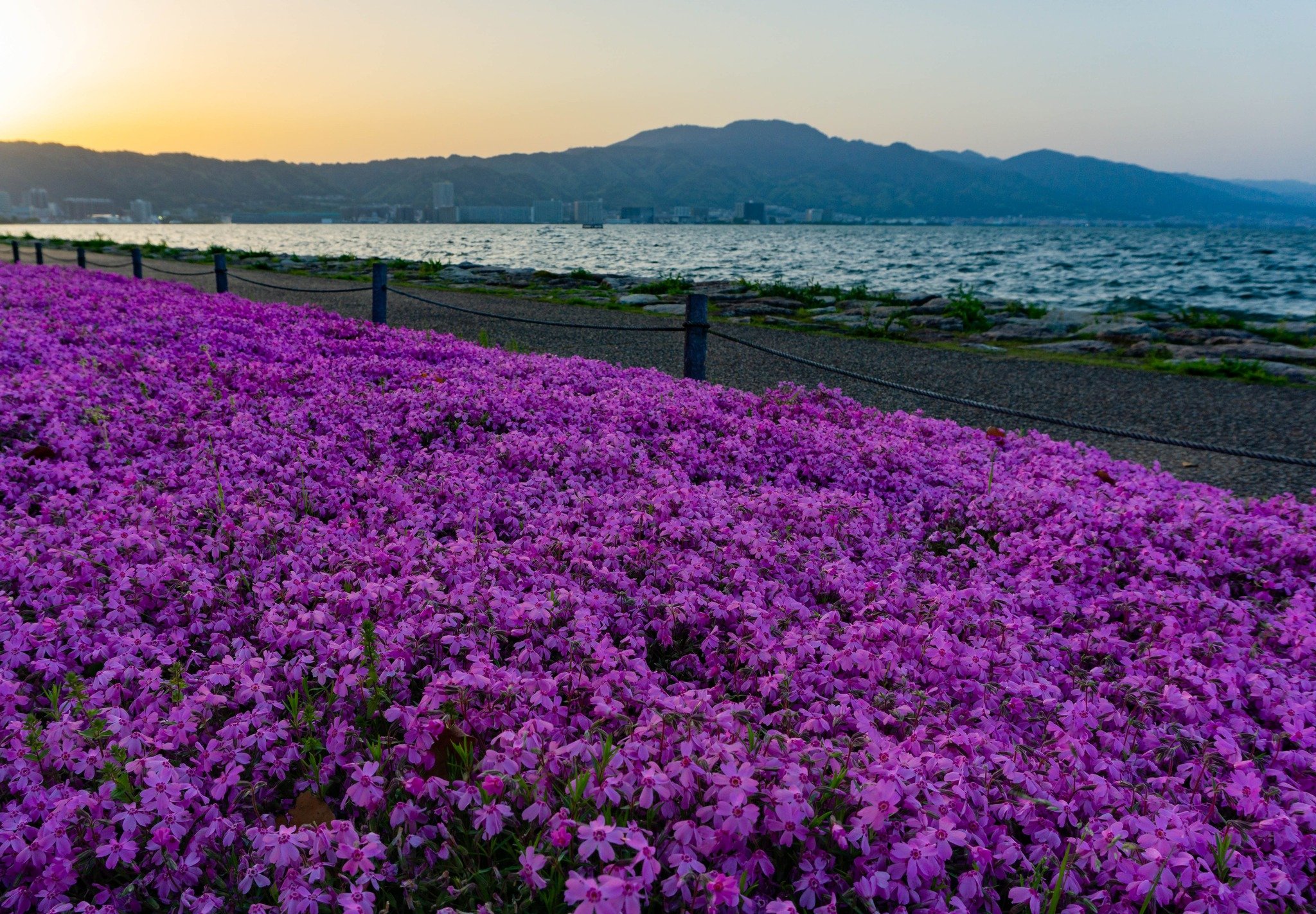🌼 제1 나기사 공원 (다이이치 나기사 코엔) 이미지 8